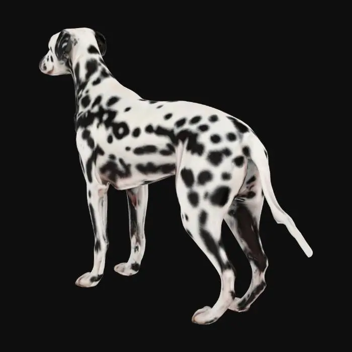 3D model for Dalmatian in Nature