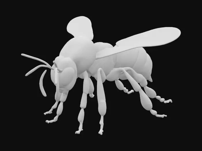3D model for "Create a highly detailed 3D model of a realistic honey bee, with accurate anatomical proportions. The model should include segmented body parts (head, thorax, abdomen), six legs with joints, antennae, wings with visible vein structures, and fine hair-like textures across the body. The eyes should be large and compound. Include a stinger and detailed feet. The pose should be neutral, suitable for rigging and animation. Focus on clean topology and natural proportions, optimized for game development and real-time rendering."

