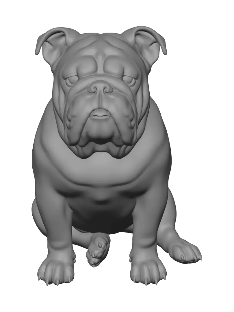 bulldog