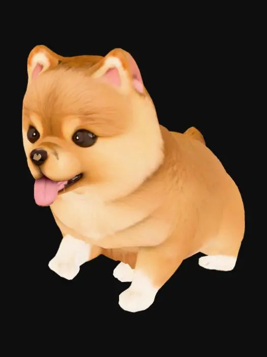 3D model for Pomeranian