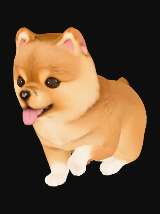 3D model for Pomeranian