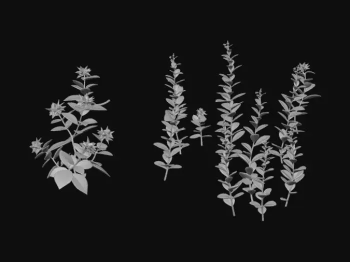 3D model for Autumn Foliage Study