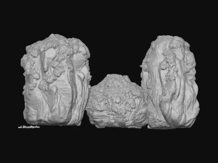 3D model for Rock Formations with Vegetation