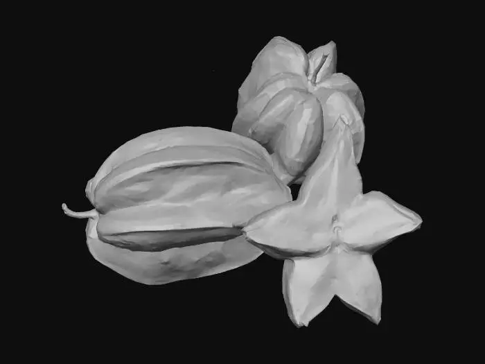 3D model for Starfruit