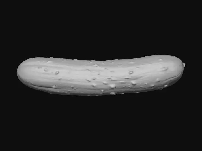 3D model for Cucumber