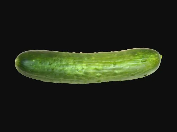 3D model for Cucumber