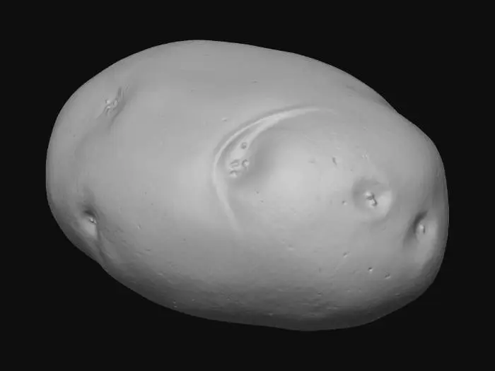 3D model for Potato