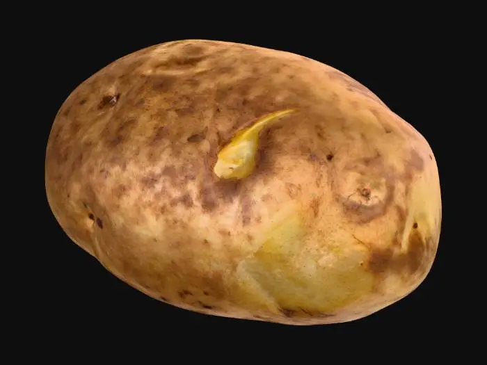 3D model for Potato