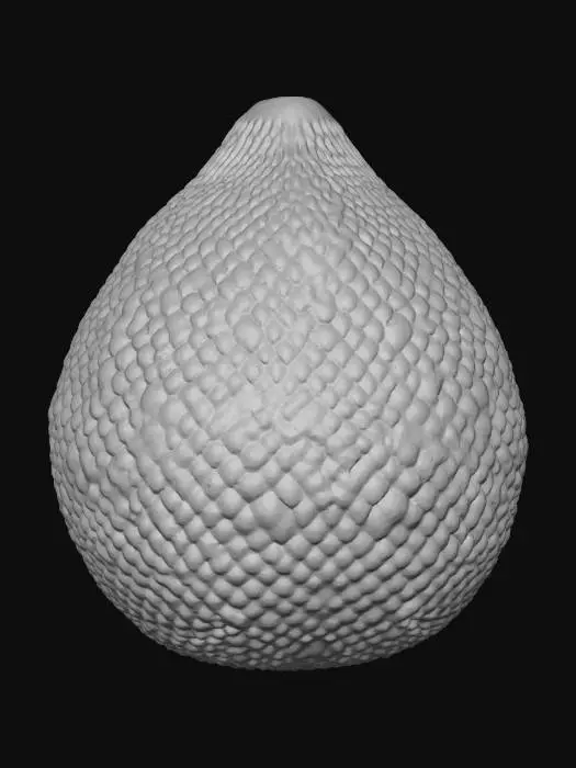 3D model for Salak