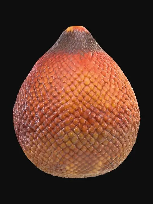 3D model for Salak