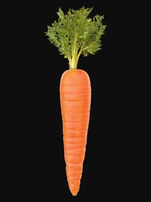3D model for Carrot
