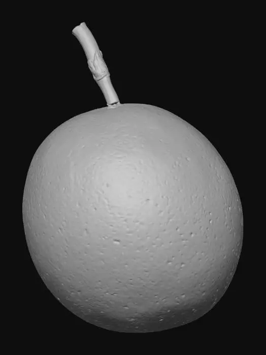 3D model for Passionfruit