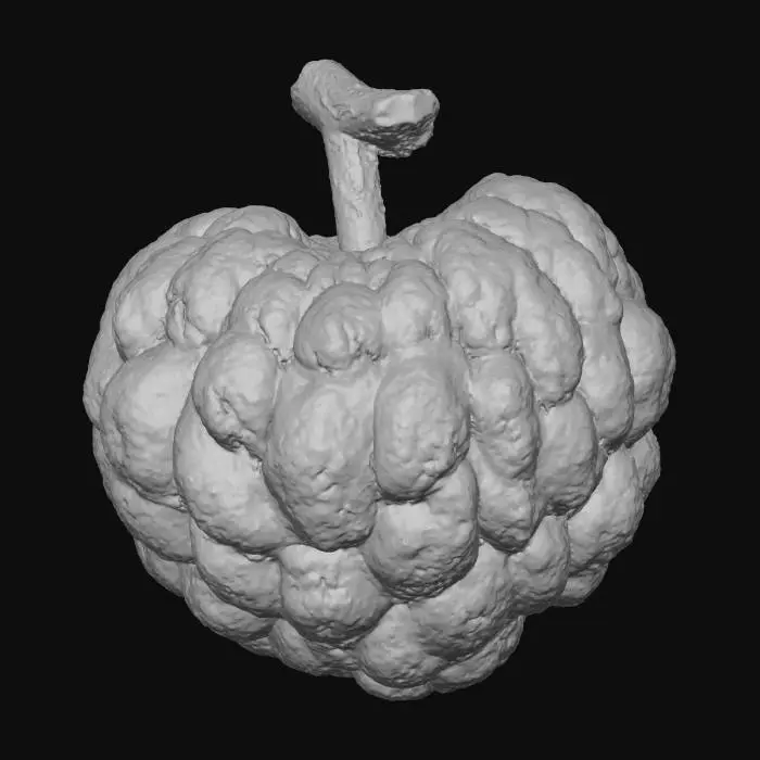 3D model for Cherimoya