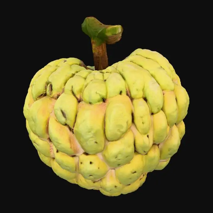 3D model for Cherimoya