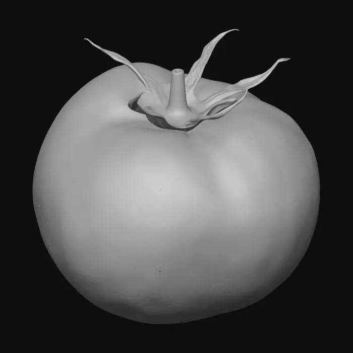 3D model for Tomato