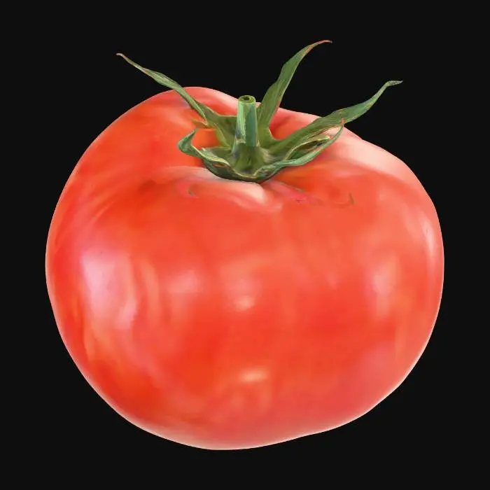 3D model for Tomato