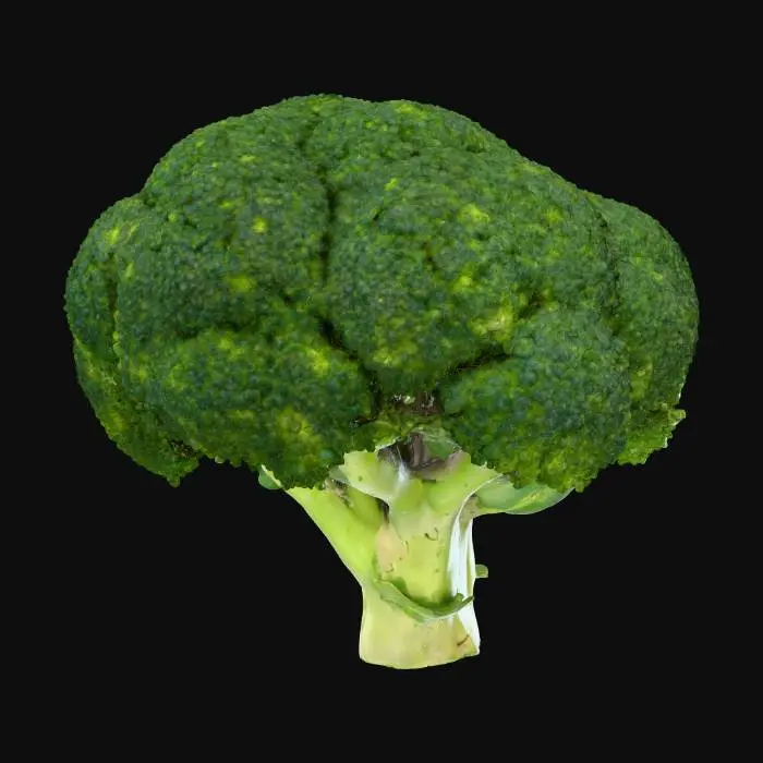 3D model for Broccoli