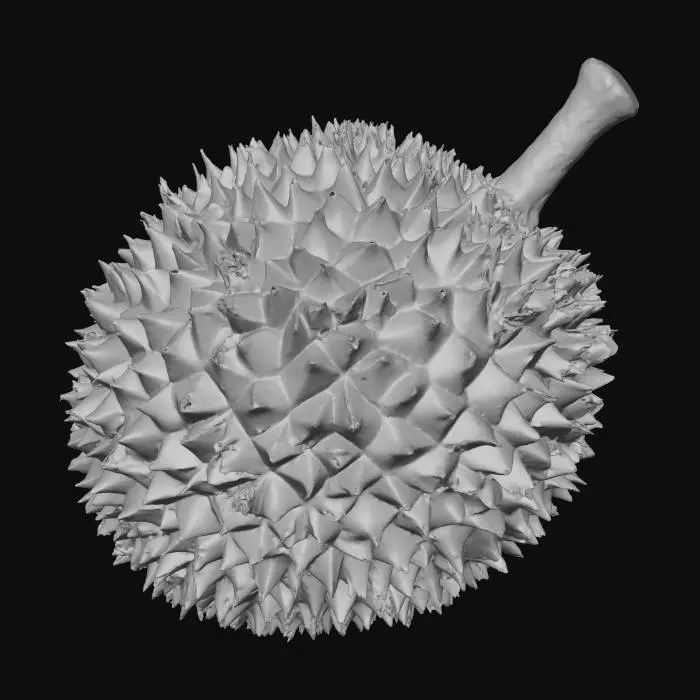 3D model for Durian