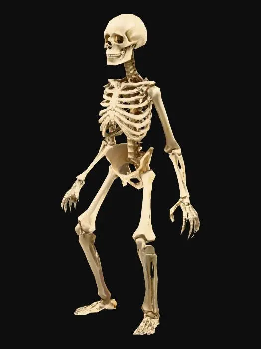 3D model for Skeleton Standoff