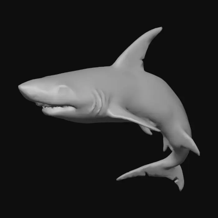 3D model for Shark Soaring