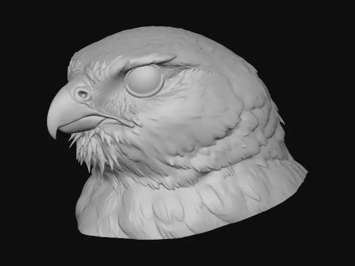3D model for Portrait of a Falcon