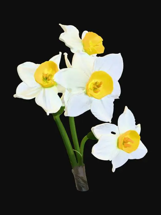 3D model for Daffodils in the Dark