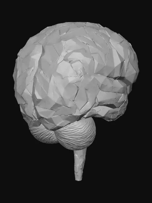 3D model for Brain Mosaic
