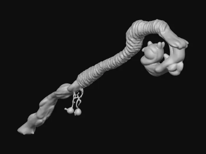 3D model for Ringed Branch