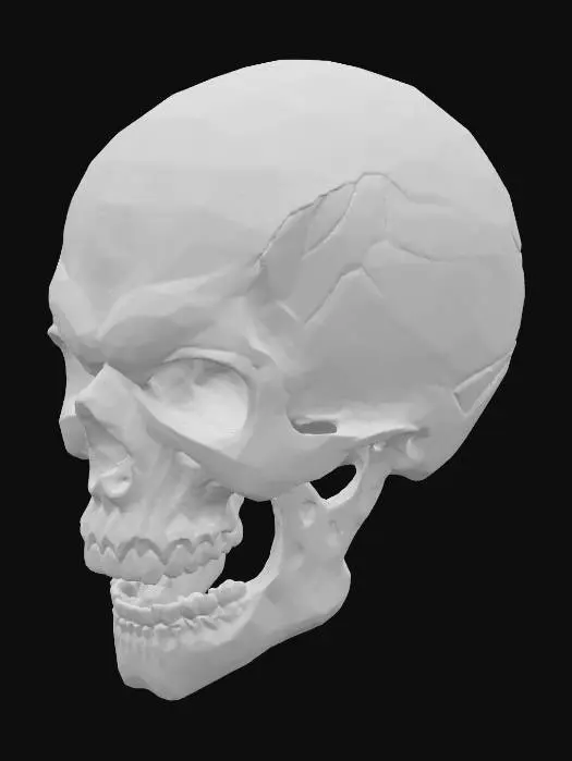 3D model for Cosmic Phantom