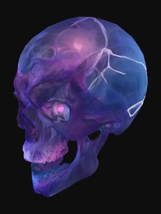 3D model for Cosmic Phantom