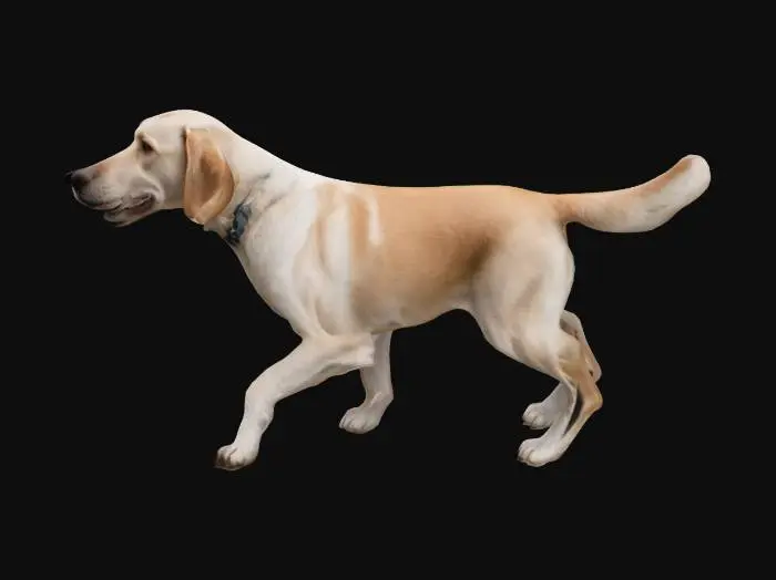 3D model for Walking Dog