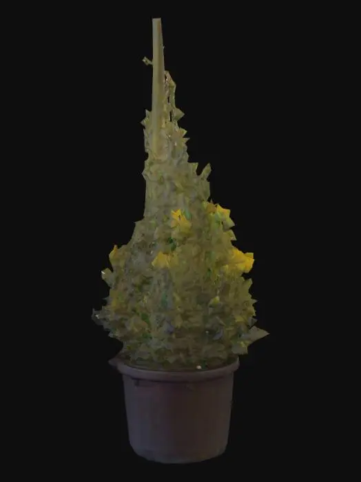 3D model for Create a realistic 3D model of a Euonymus japonicus aureomarginatus (golden euonymus) topiary shaped as a pyramid/conical form. The plant has dense green leaves with yellow variegated edges, trimmed neatly to form a symmetrical pyramid shape about 1.5 meters tall. A thin metal rod runs vertically through the center for structural support. The plant is placed in a large black plastic nursery pot with soil. Keep the foliage natural yet cleanly trimmed, suitable for SketchUp or Blender use.