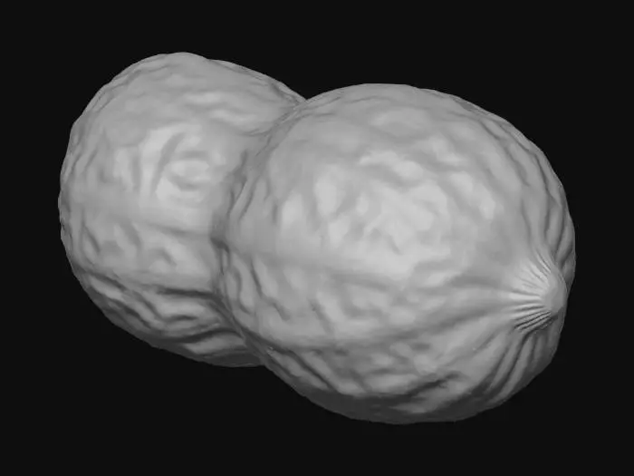 3D model for Peanut Portrait