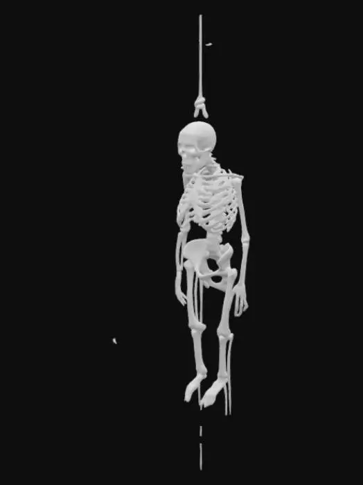 3D model for give me bloody hanging skeleton or dummies