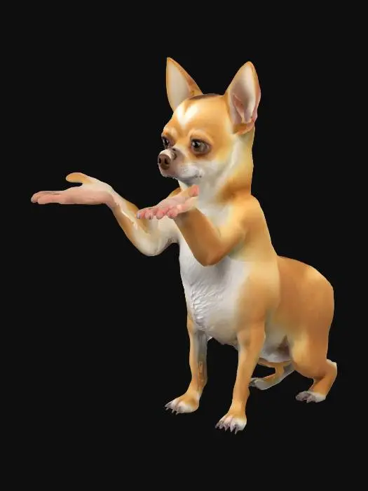 3D model for 3D Model of a light brown chihuahua with a brown nose and a white streak on the middle of his face between his eyes. Also white chest, abdomen, paws, and tip of tail.