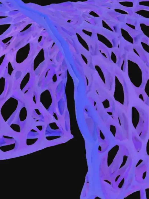 3D model for Subject: Parametric Voronoi lattice arch

Style: Futuristic organic parametric design

Material: purple, red, and blue shades of ceramic structure with integrated LED modules

Details:

A single sweeping arch formed by interlocking Voronoi cells of varying sizes with spiders and jagged sharp details

Subtle beveled edges on each cell for a refined, high-poly look

Warm red LED backlighting embedded within select cells for depth

Smooth transitions between cells, emphasizing structural flow
, #arch#PBR Ceramic: Fine-grain matte ceramic with slight subsurface scatter

Emissive LEDs: Warm white glow with adjustable intensity and soft falloff

Surface Imperfections: Very light micro-roughness and faint dust accumulation in cell crevices