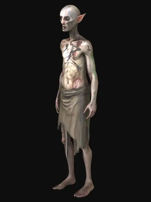 3D model for Emaciated elven slave, wearing rags, with cuts, and bruises all over his body due to being tortured