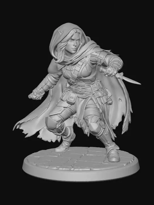 3D model for Rogue_DnD