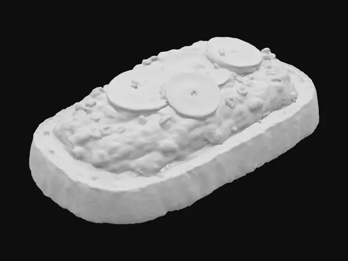 3D model for Avocado Toast Delight