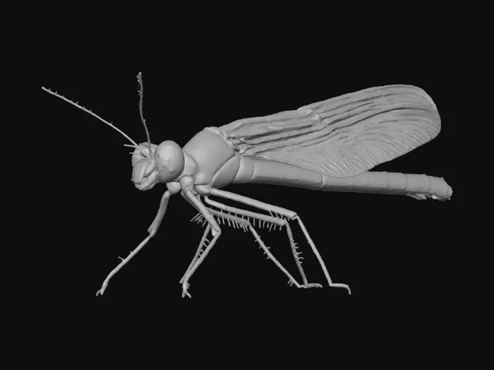 3D model for Emerald Serenity