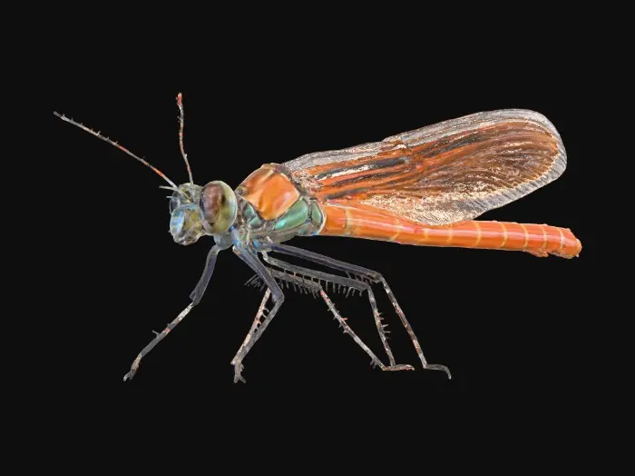 3D model for Emerald Serenity