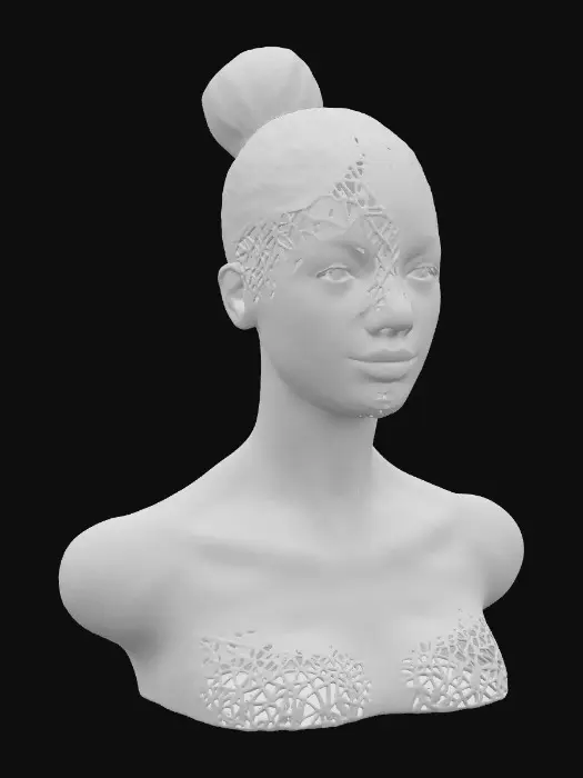 3D model for Duality in Harmony