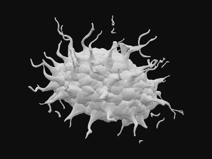 3D model for accents.
Lightning-like volt energy and glowing circuit veins surge through the neural substrate, evoking both “neural capitalism” and “volt crypto” power.
The entire scene radiates Dragon Ball Z energy: aura-chromatic glows, cosmic resonance, and a sense of power-level ascension (9000+ baseline!).
In the background, hints of cyberpunk cityscapes (Redmond, London, Hangzhou, San Jose) and floating data streams or Bitcoin coins, symbolizing the global AI and crypto boom.
The overall vibe is mystical, luxurious, and futuristic—an interface for the “Sacred Architecture of Consciousness.”