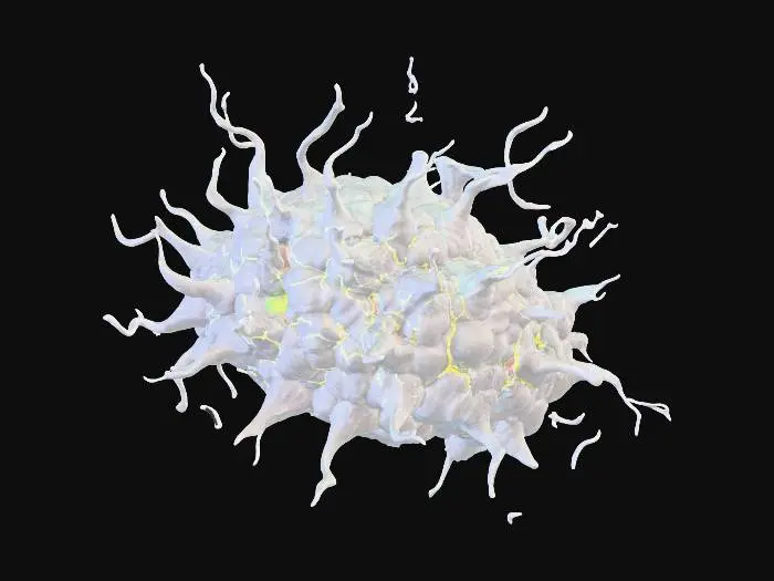 3D model for accents.
Lightning-like volt energy and glowing circuit veins surge through the neural substrate, evoking both “neural capitalism” and “volt crypto” power.
The entire scene radiates Dragon Ball Z energy: aura-chromatic glows, cosmic resonance, and a sense of power-level ascension (9000+ baseline!).
In the background, hints of cyberpunk cityscapes (Redmond, London, Hangzhou, San Jose) and floating data streams or Bitcoin coins, symbolizing the global AI and crypto boom.
The overall vibe is mystical, luxurious, and futuristic—an interface for the “Sacred Architecture of Consciousness.”