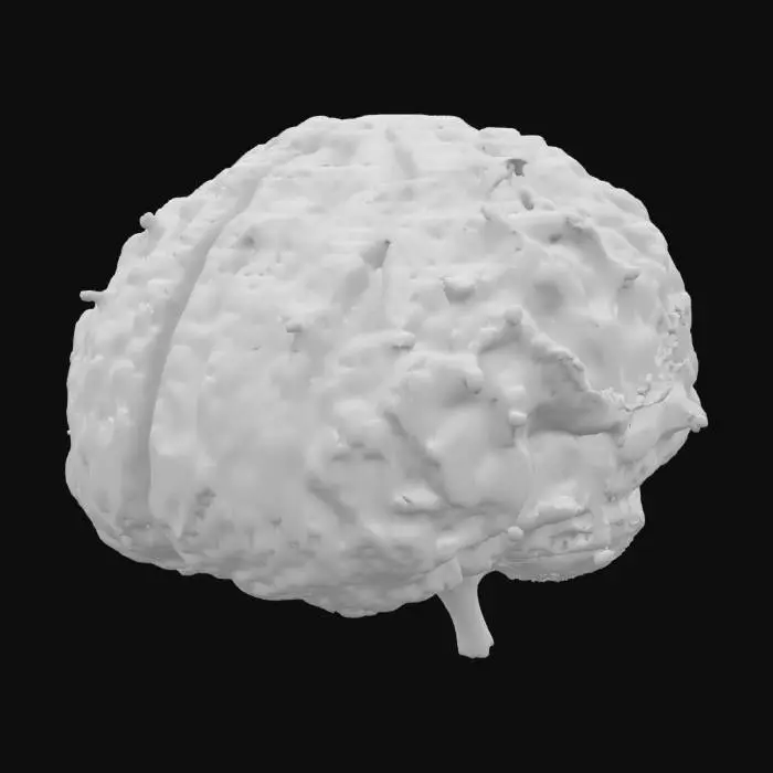 3D model for mock 3D neural map 
Neural Blueprint MVP
 3D heatmap
