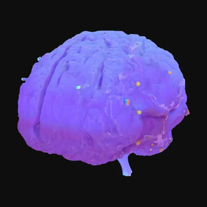 3D model for mock 3D neural map 
Neural Blueprint MVP
 3D heatmap
