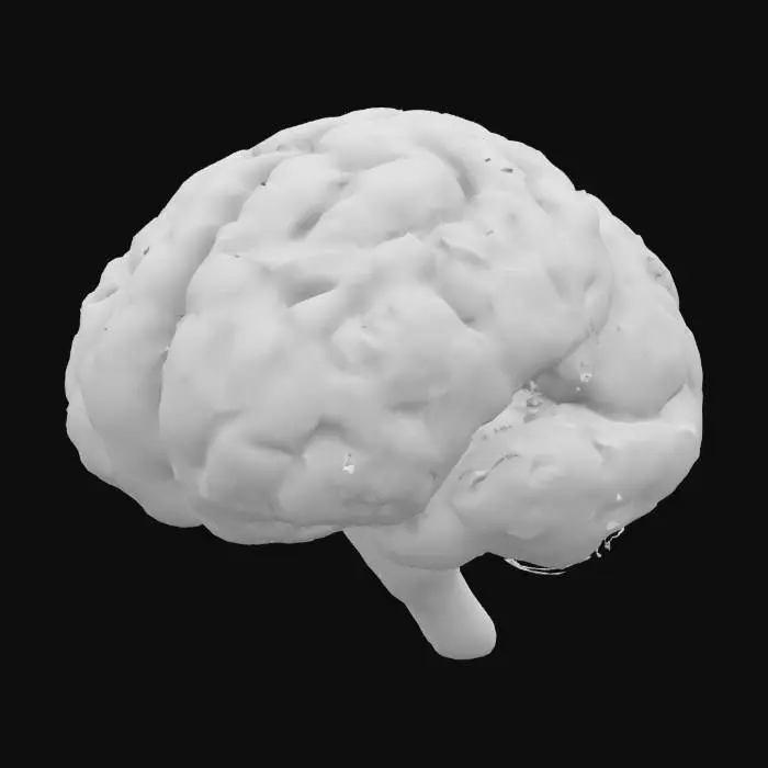 3D model for A 3D animated neural network with glowing synapses and dendritic growth, showcasing neuroplasticity in real-time as neurofeedback pulses reshape circuits in the hippocampus and cortex. Highlight epilepsy seizure reduction and stroke motor recovery with dynamic annotations. Immersive, vibrant aesthetic, optimized for VR education platforms (e.g., Spatial.io), 4K render, low-poly (<40K triangles) for real-time playback



