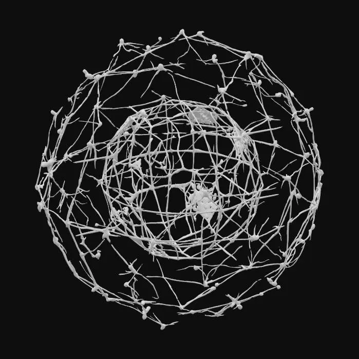 3D model for analytical idealism -philosophy of mind -conciousness unfolds computationaly meaning comes from discovery reflectipn of what conciousness is as it expresses itself through you,,,,active expression of realities discovery- the mass the appearence 4d chassian splatting