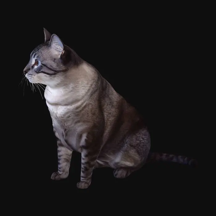 3D model for Twinkle Eyes Under Christmas Lights