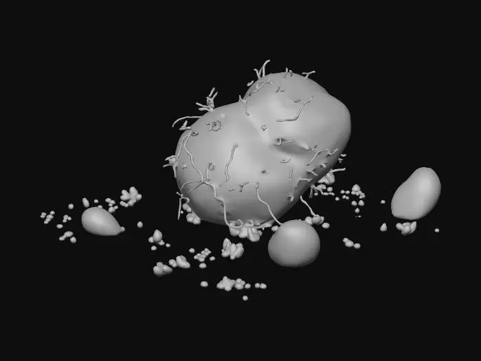 3D model for Cosmic potato